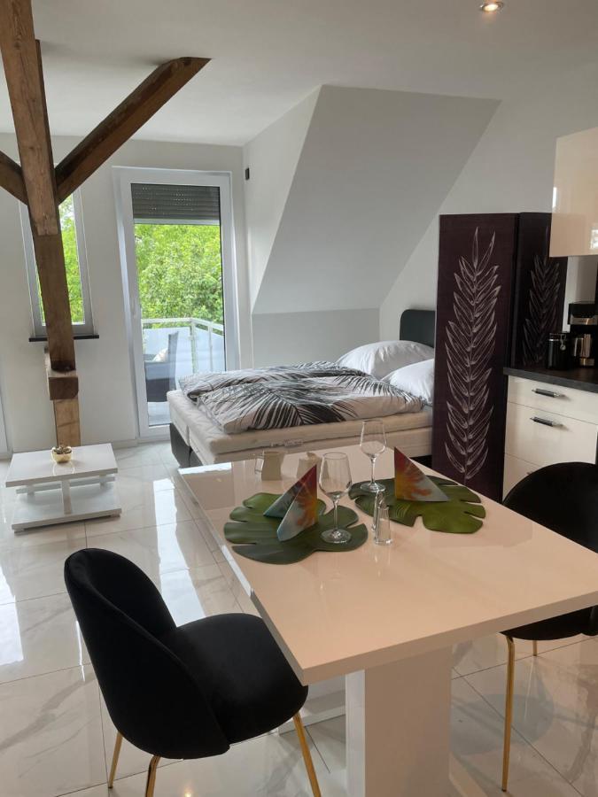 Ferienwohnungen Im Palmengarten - 40 Qm Heitersheim Kültér fotó